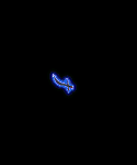 Flying Scimitar
