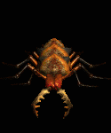 Sand Maggot