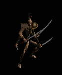 Sand Raider
