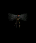 Giant Mosquito