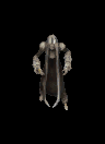 Prophet of Omega